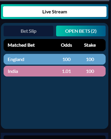Open bets panel